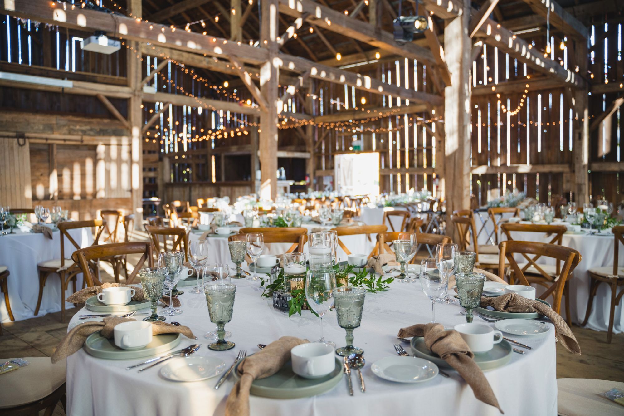 Untitled design – 2025-11-24T132341.245